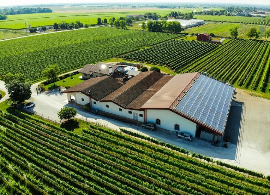 Aerial view of the winery and vineyard, San Quirino